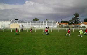 IMAG0029.JPG